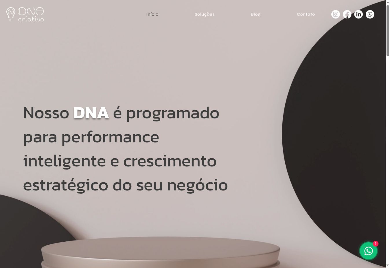 Página real do site da DNA Criativo, com sua identidade visual e apresentação do negócio